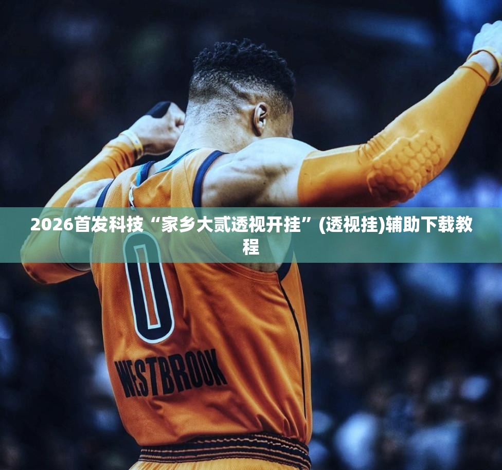 2026首发科技“家乡大贰透视开挂”(透视挂)辅助下载教程
