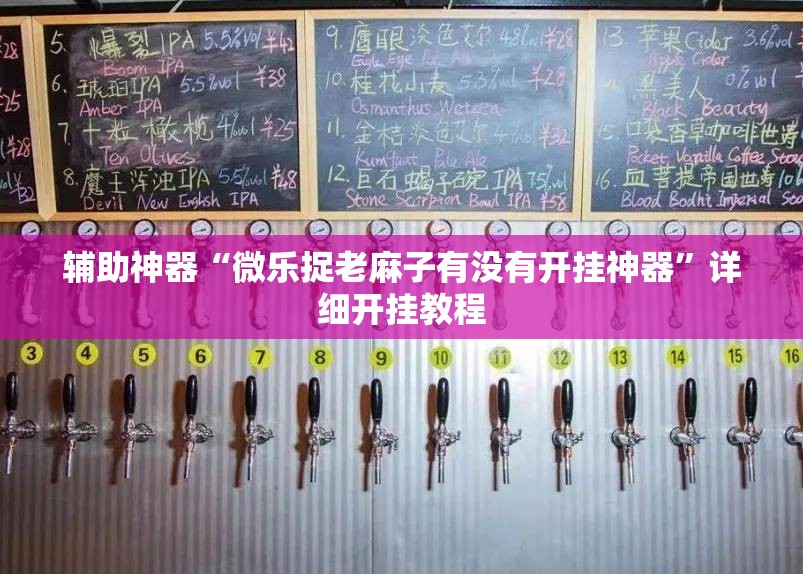 辅助神器“微乐捉老麻子有没有开挂神器”详细开挂教程