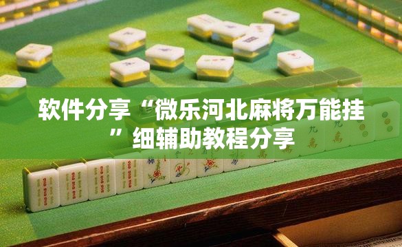 软件分享“微乐河北麻将万能挂”细辅助教程分享