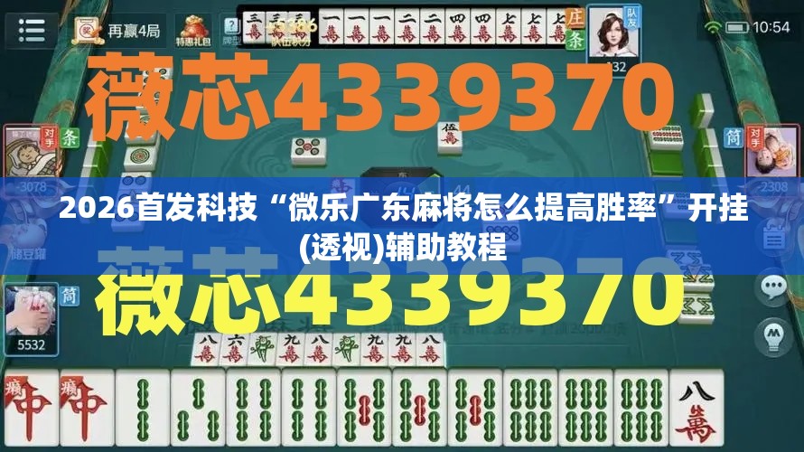 2026首发科技“微乐广东麻将怎么提高胜率”开挂(透视)辅助教程