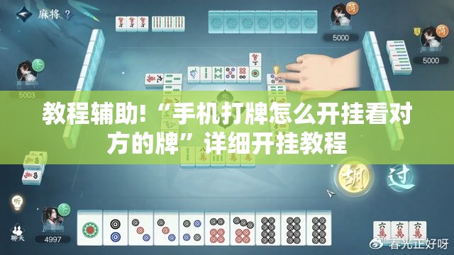 教程辅助!“手机打牌怎么开挂看对方的牌	”详细开挂教程