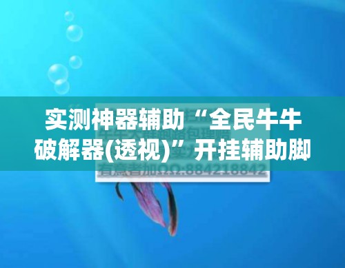 实测神器辅助“全民牛牛破解器(透视)”开挂辅助脚本+详细开挂安装教程