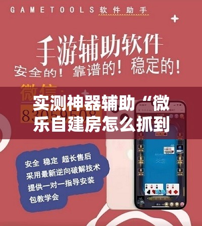 实测神器辅助“微乐自建房怎么抓到好牌”细辅助教程分享