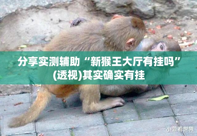 分享实测辅助“新猴王大厅有挂吗”(透视)其实确实有挂