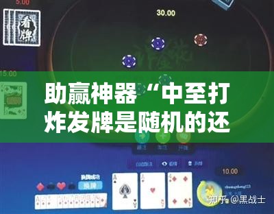 助赢神器“中至打炸发牌是随机的还是有技巧”科技辅助神器手机版