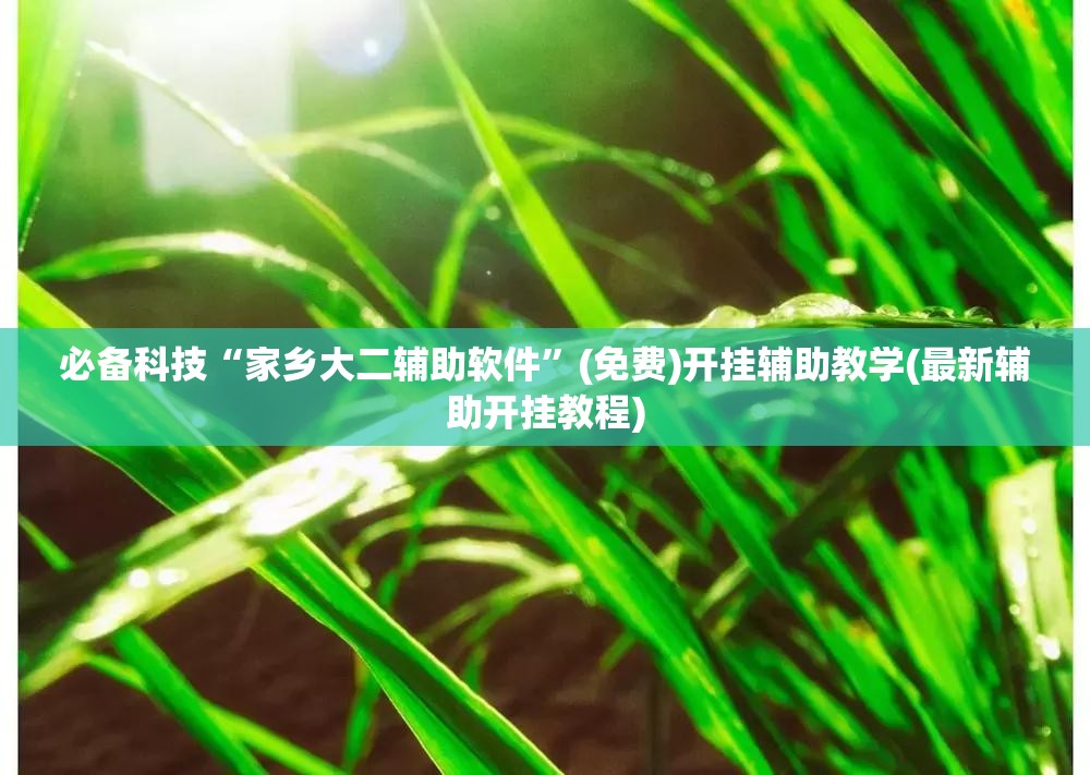 必备科技“家乡大二辅助软件”(免费)开挂辅助教学(最新辅助开挂教程)