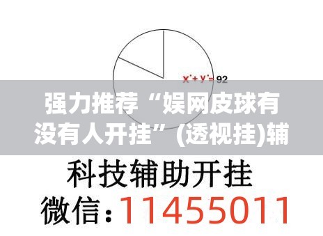 强力推荐“娱网皮球有没有人开挂”(透视挂)辅助下载教程