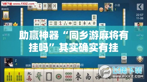 助赢神器“同乡游麻将有挂吗”其实确实有挂