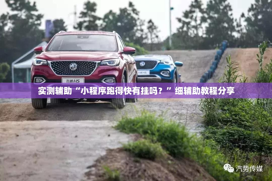 实测辅助“小程序跑得快有挂吗？”细辅助教程分享