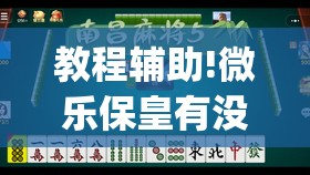 教程辅助!微乐保皇有没有挂”开挂(透视)辅助神器