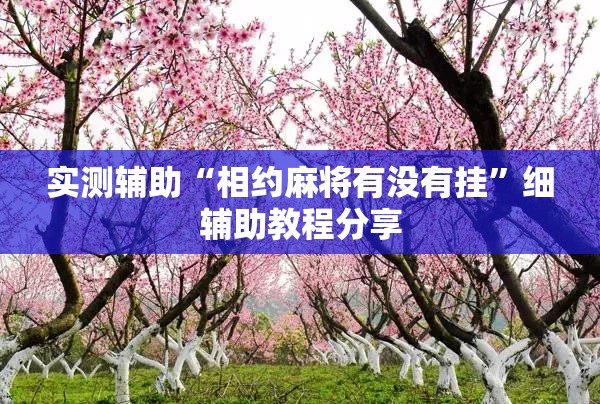 实测辅助“相约麻将有没有挂”细辅助教程分享
