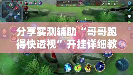 分享实测辅助“哥哥跑得快透视”开挂详细教程