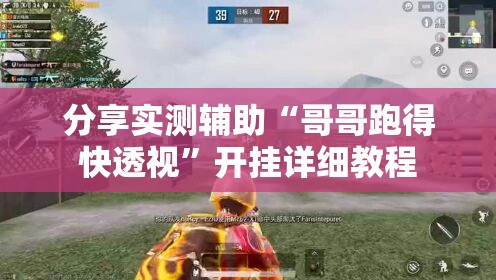 分享实测辅助“哥哥跑得快透视”开挂详细教程
