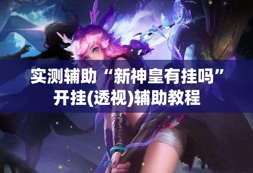 实测辅助“新神皇有挂吗”开挂(透视)辅助教程