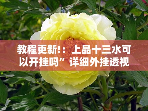教程更新!：上品十三水可以开挂吗”详细外挂透视辅助软件教程