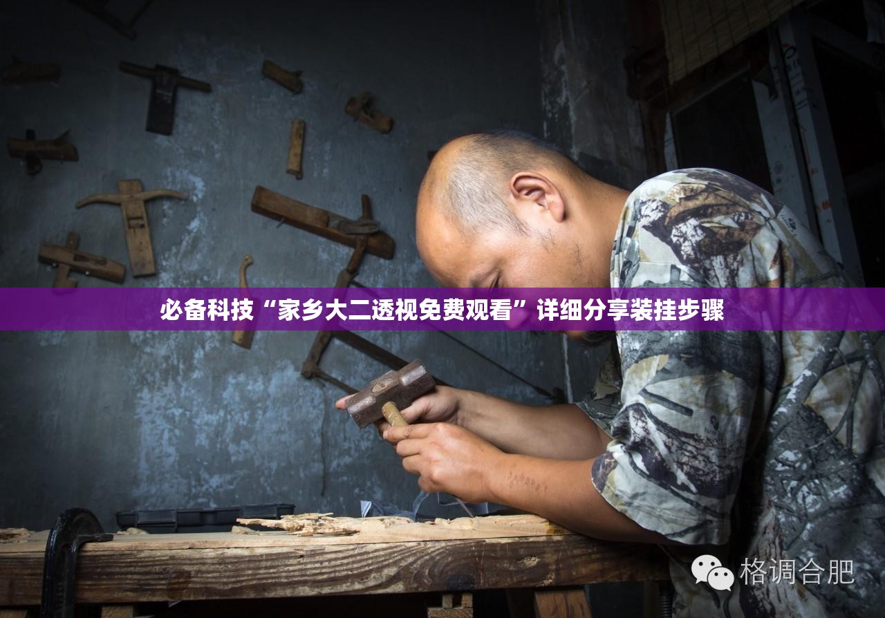 必备科技“家乡大二透视免费观看	”详细分享装挂步骤