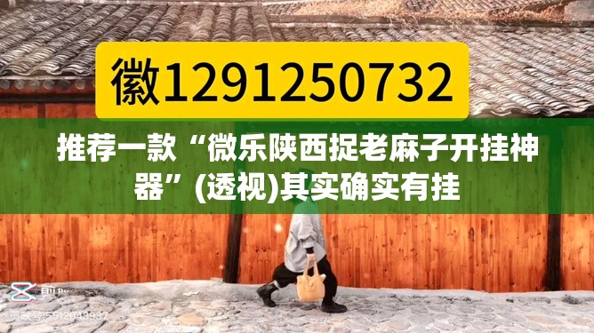 推荐一款“微乐陕西捉老麻子开挂神器”(透视)其实确实有挂