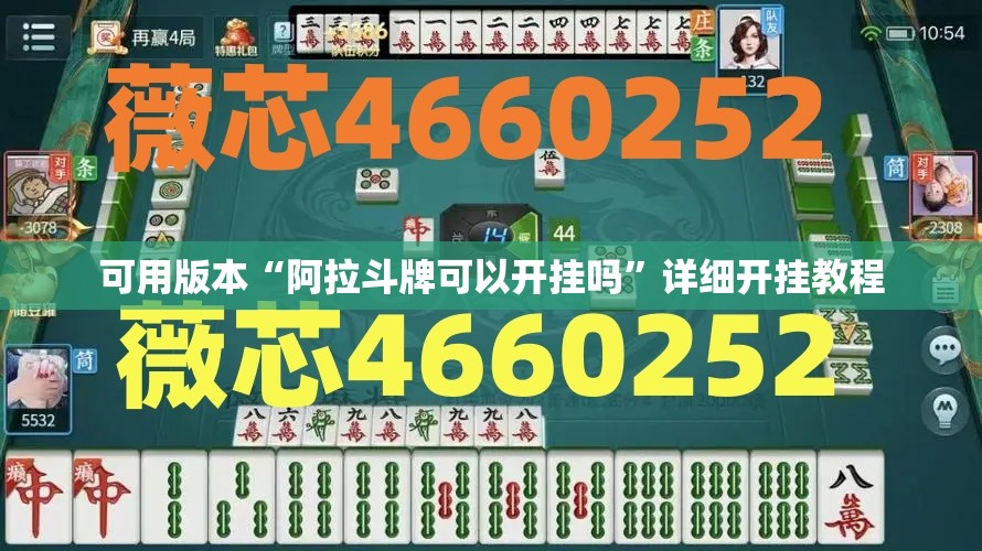 可用版本“阿拉斗牌可以开挂吗”详细开挂教程