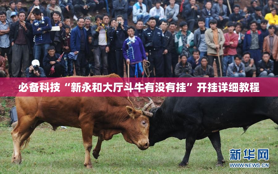 必备科技“新永和大厅斗牛有没有挂”开挂详细教程