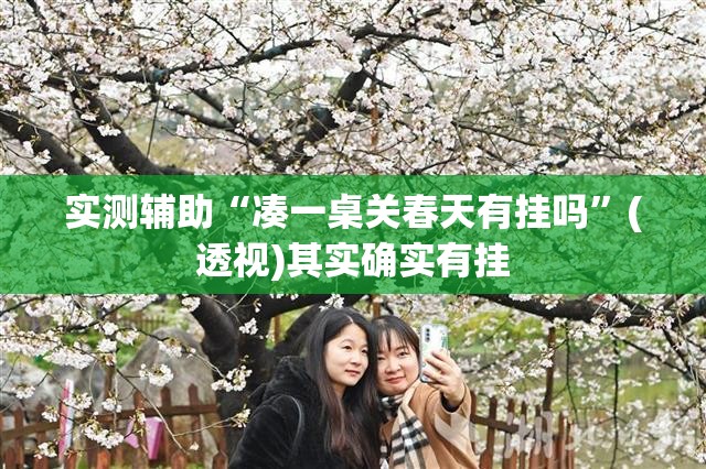 实测辅助“凑一桌关春天有挂吗”(透视)其实确实有挂