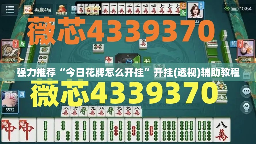 强力推荐“今日花牌怎么开挂	”开挂(透视)辅助教程