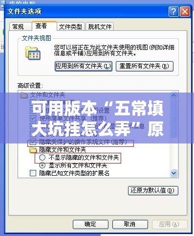 可用版本“五常填大坑挂怎么弄”原来可以开挂