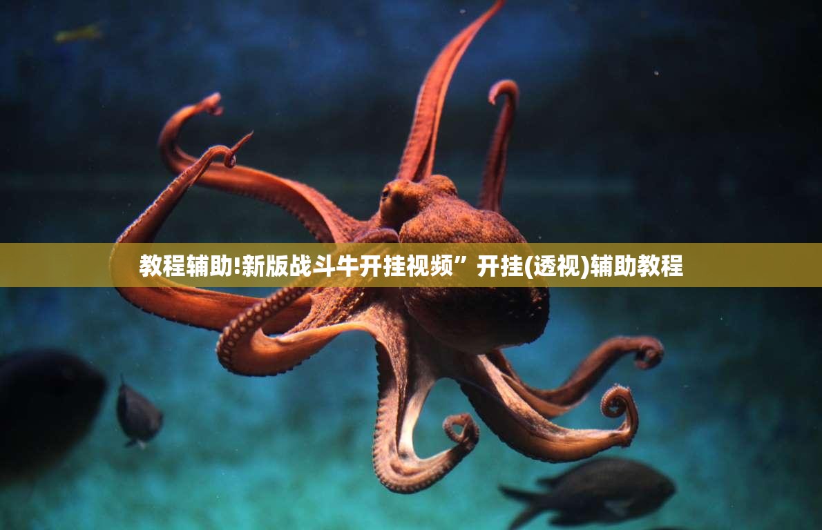 教程辅助!新版战斗牛开挂视频”开挂(透视)辅助教程