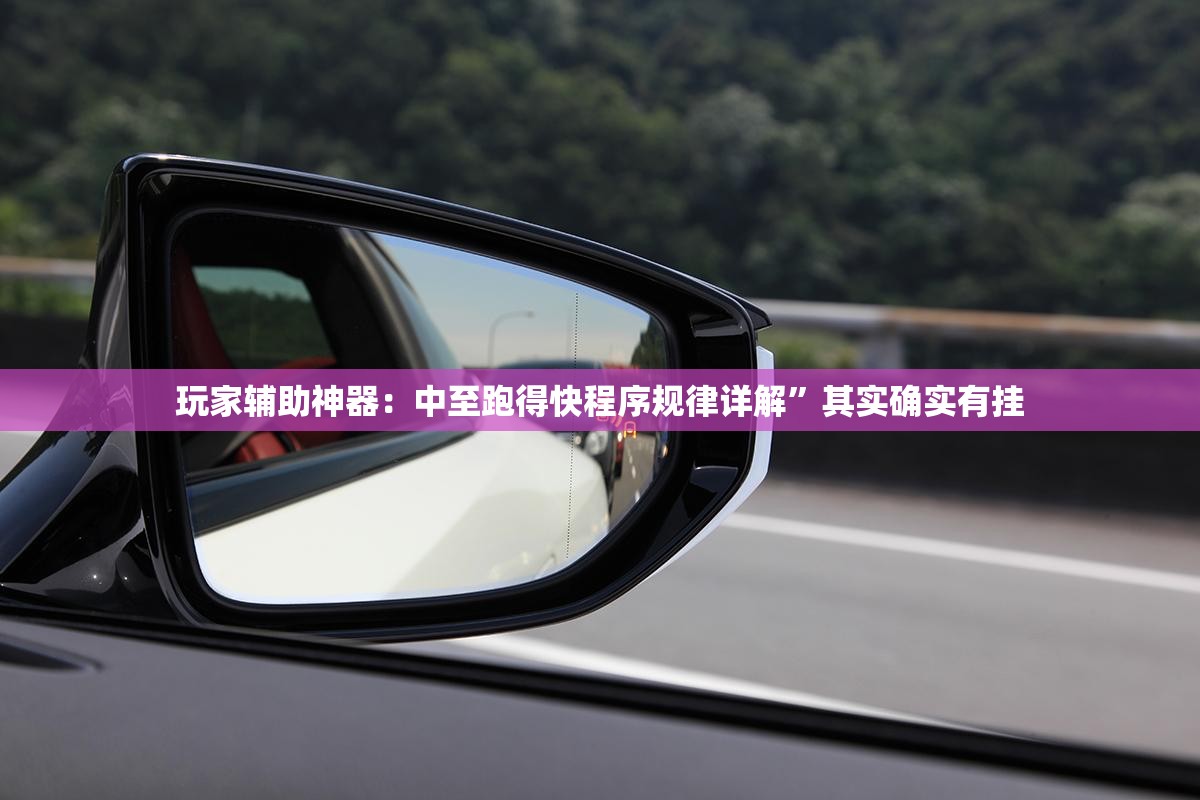 玩家辅助神器：中至跑得快程序规律详解”其实确实有挂
