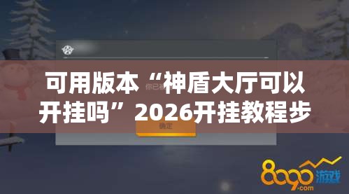 可用版本“神盾大厅可以开挂吗”2026开挂教程步骤