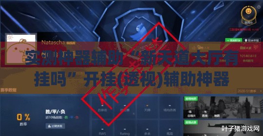 实测神器辅助“新天道大厅有挂吗”开挂(透视)辅助神器