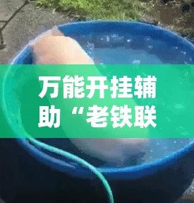 万能开挂辅助“老铁联盟辅助器免费版”科技辅助神器手机版