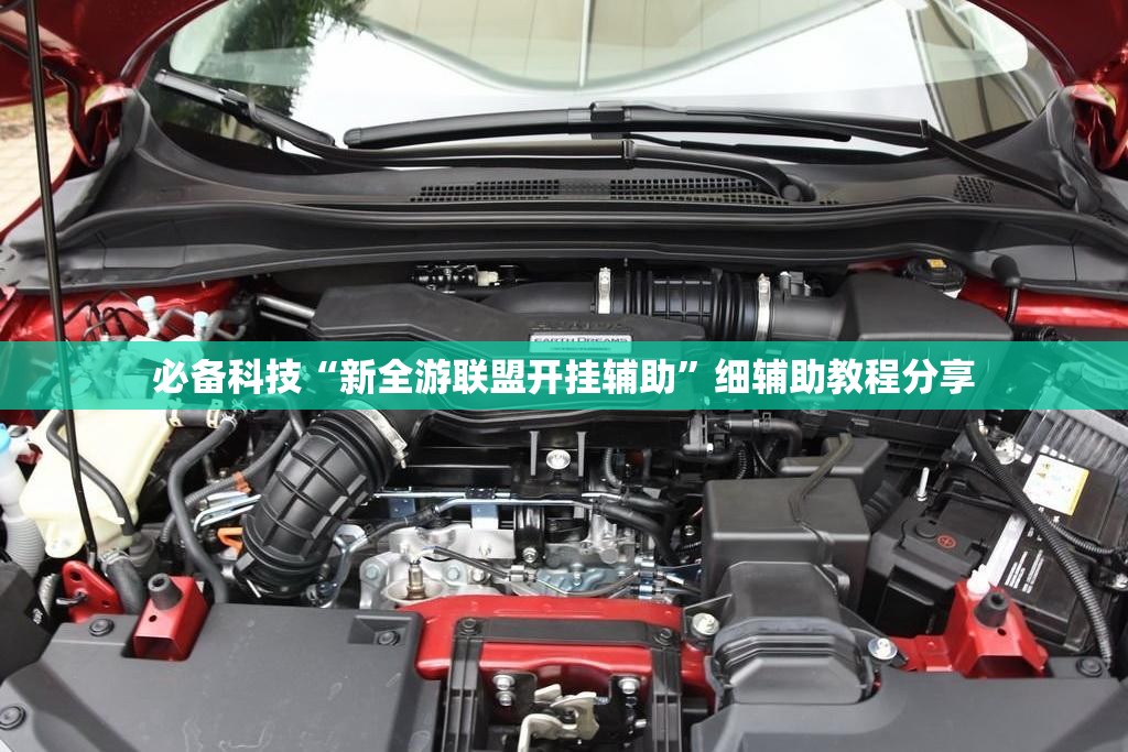 必备科技“新全游联盟开挂辅助”细辅助教程分享