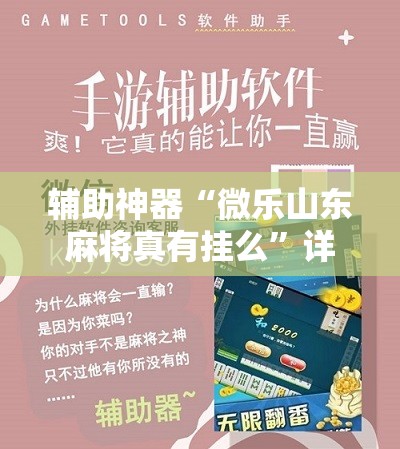 辅助神器“微乐山东麻将真有挂么	”详细分享装挂步骤