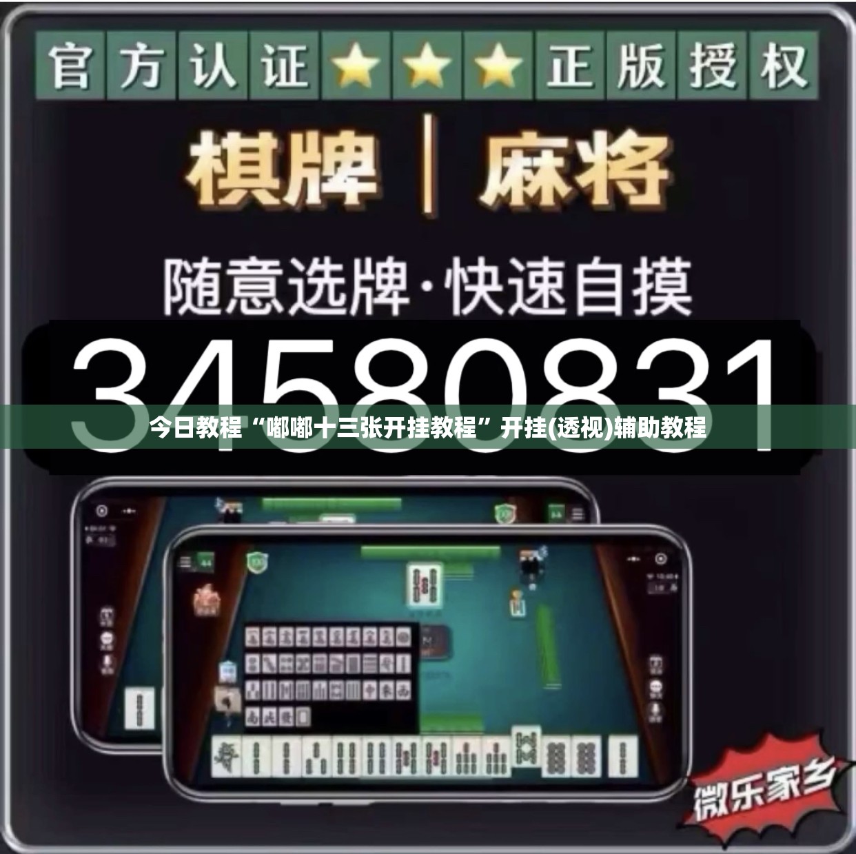 今日教程“嘟嘟十三张开挂教程”开挂(透视)辅助教程