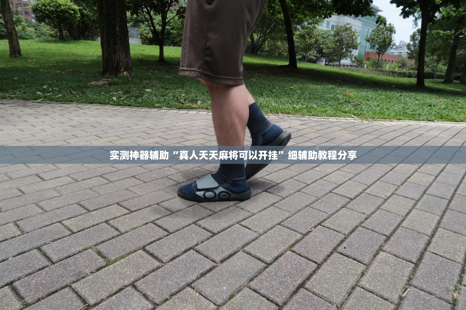 实测神器辅助“真人天天麻将可以开挂”细辅助教程分享