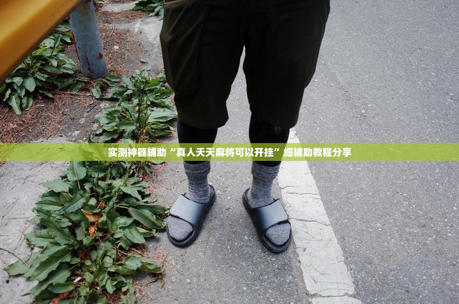 实测神器辅助“真人天天麻将可以开挂”细辅助教程分享