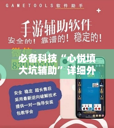 必备科技“心悦填大坑辅助”详细外挂透视辅助软件教程