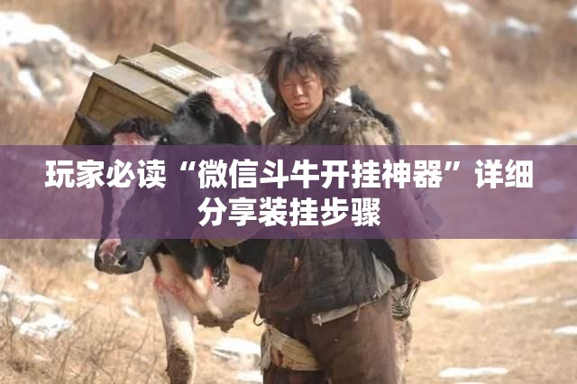 玩家必读“微信斗牛开挂神器”详细分享装挂步骤