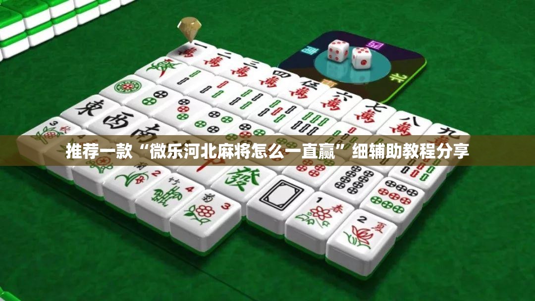推荐一款“微乐河北麻将怎么一直赢”细辅助教程分享