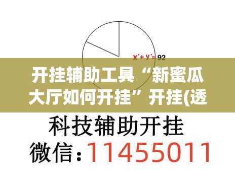 开挂辅助工具“新蜜瓜大厅如何开挂”开挂(透视)辅助教程