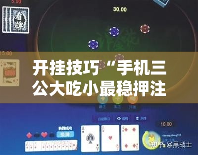 开挂技巧“手机三公大吃小最稳押注法”科技辅助神器手机版