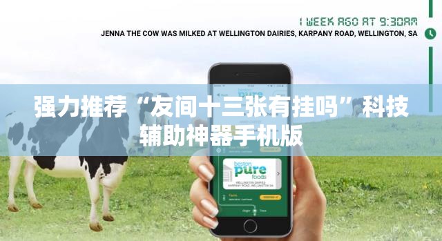 强力推荐“友间十三张有挂吗”科技辅助神器手机版