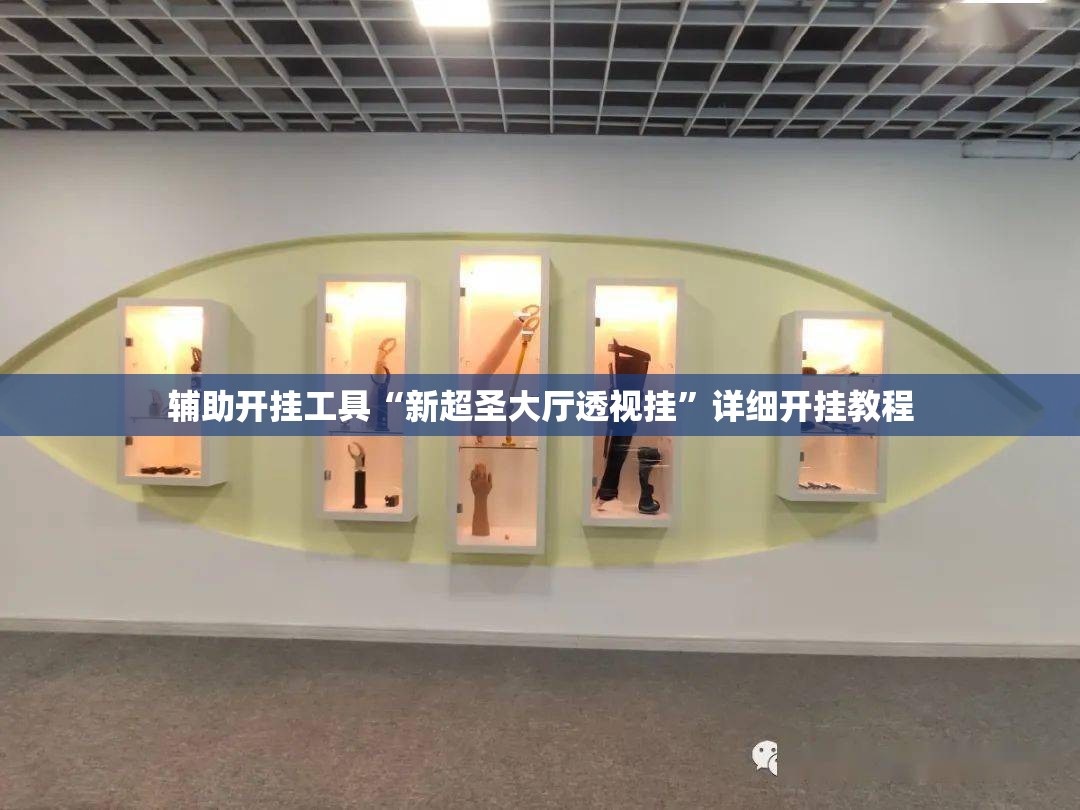 辅助开挂工具“新超圣大厅透视挂”详细开挂教程