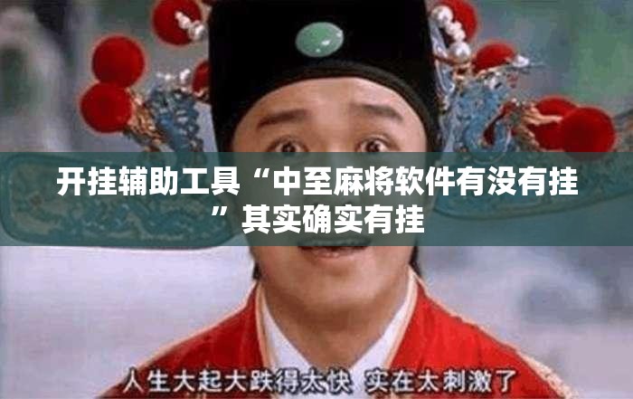 开挂辅助工具“中至麻将软件有没有挂”其实确实有挂