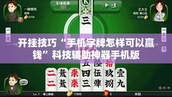 开挂技巧“手机字牌怎样可以赢钱”科技辅助神器手机版