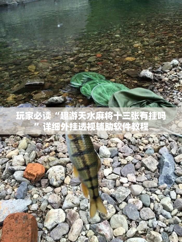玩家必读“趣游天水麻将十三张有挂吗”详细外挂透视辅助软件教程