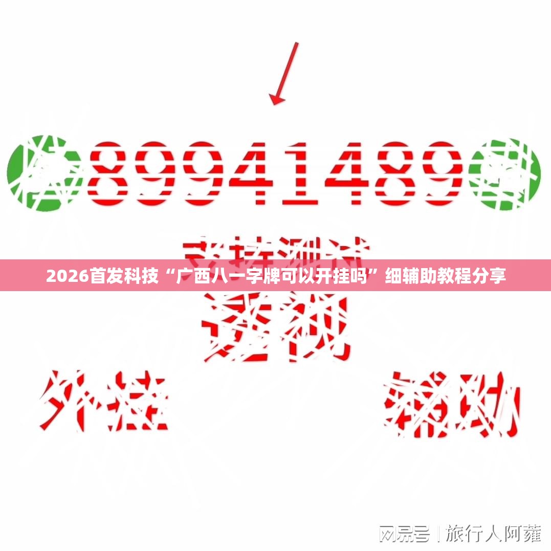 2026首发科技“广西八一字牌可以开挂吗”细辅助教程分享