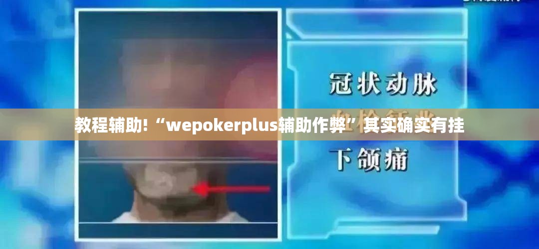 教程辅助!“wepokerplus辅助作弊”其实确实有挂
