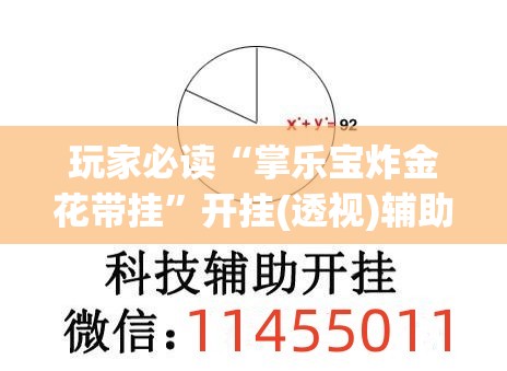 玩家必读“掌乐宝炸金花带挂”开挂(透视)辅助神器