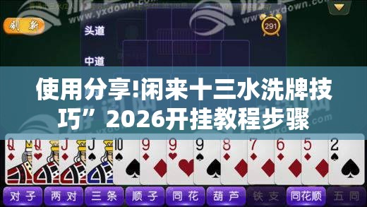 使用分享!闲来十三水洗牌技巧”2026开挂教程步骤